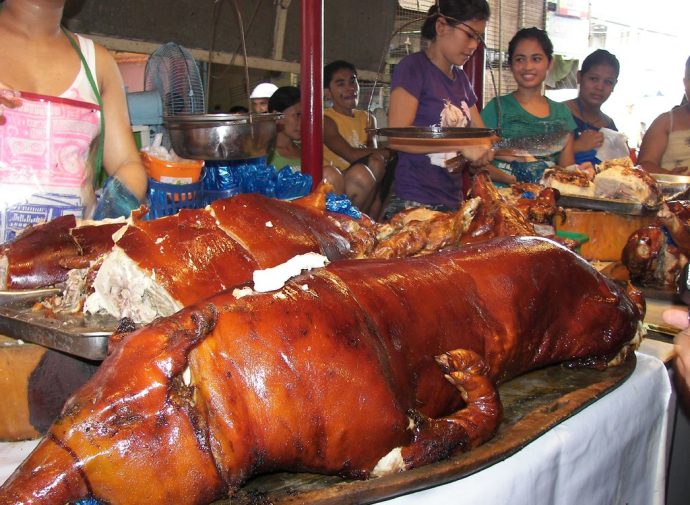 car car lechon